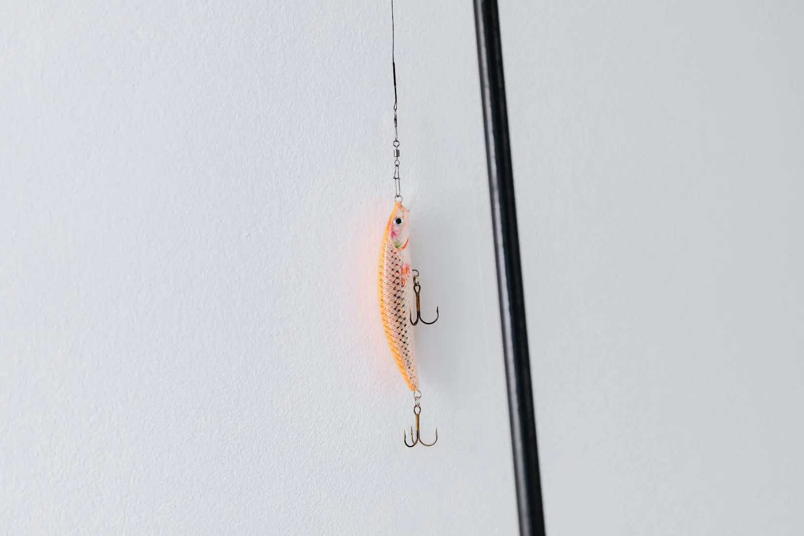 Voorpagina 21 Voorpagina -Aanbiedingen Fischköder Winkel 4558