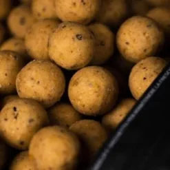 Mainline Shelf Life Boilies Cell 1kg -Aanbiedingen Fischköder Winkel cell boilies3 550x550 1